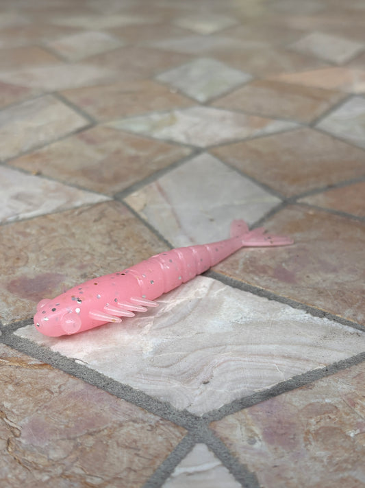 Pink Flash Shrimp